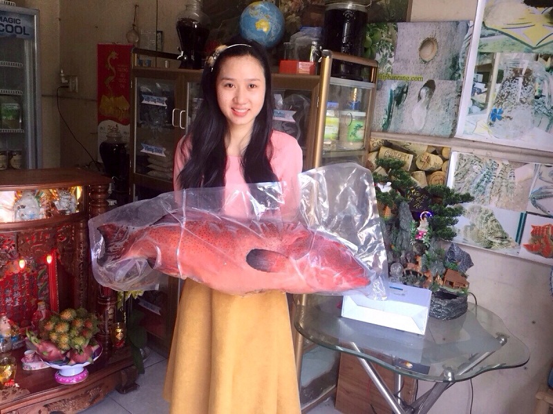 cá mú đỏ to nhất lịch sử biển Phan Rang